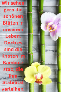 Die Wichtigkeit der Knoten für Stabilität.